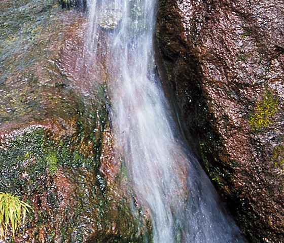 美味しく健康的な天然の水「湧駒水」