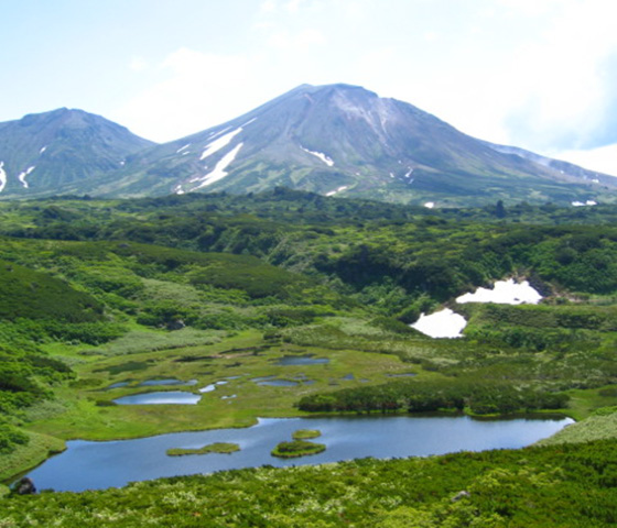 緑豊かな旭岳の自然